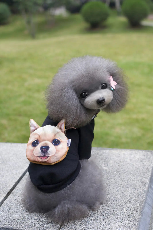 Dog Backpack Sweater for Autumn and Winter Wear