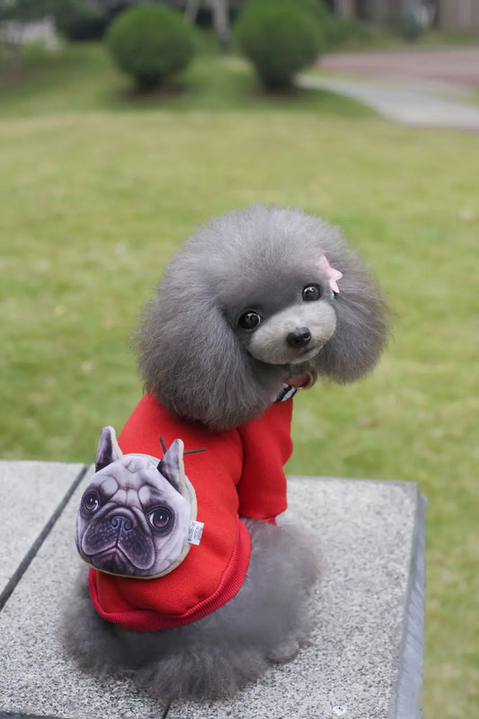 Dog Backpack Sweater for Autumn and Winter Wear