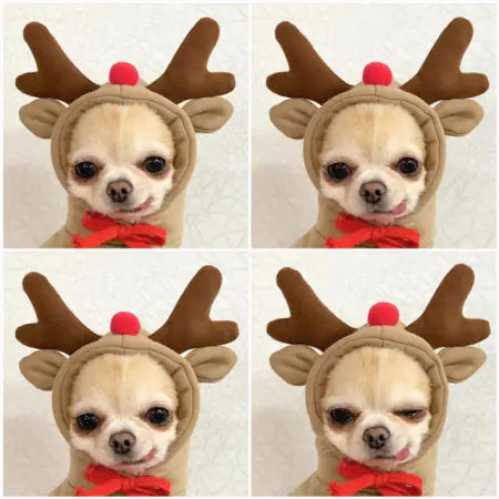 Hooded Fleece Sweater for Puppy and Cat Pets